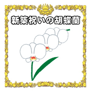 新築祝いの胡蝶蘭の贈り方など色の選び方や本数の選び方を解説
